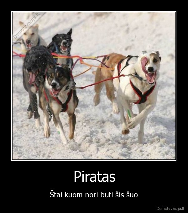 piratas