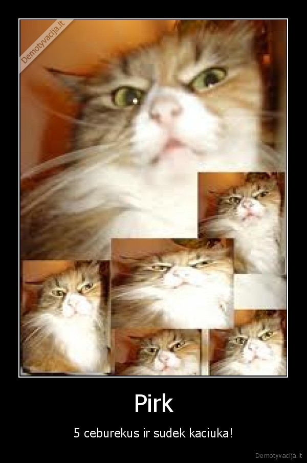 katinai,sumalk,gauk,cebureka