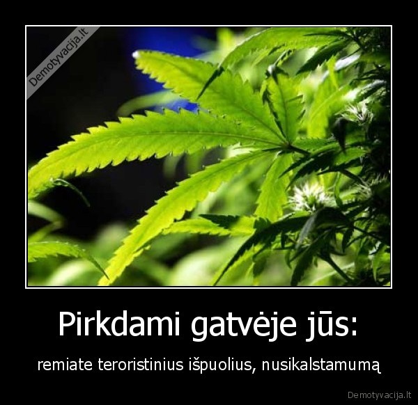 kanape, marichuana, marijuana, cannabis