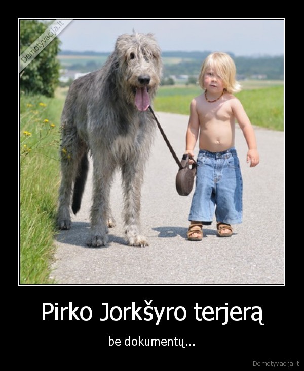 neskatink,daugintoju