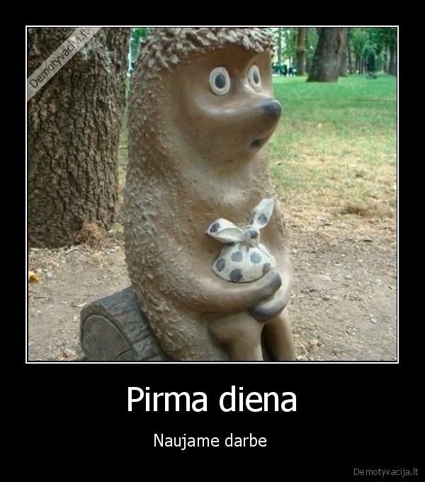 naujas, darbas,naujokas, darbe