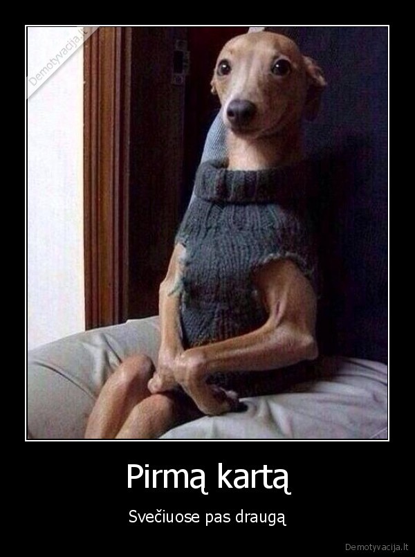 sveciuose,draugas,juokingas, suo,suo, su, megztiniu
