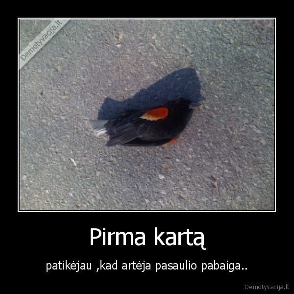 bus, pyzdec, reikia, is, gert, ta, proga