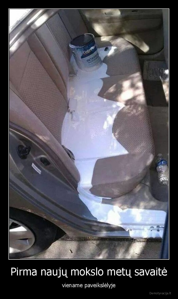 mokslai,rugsejis,mokykla,universitetas