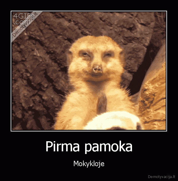 pirma, pamoka,ima, miegas