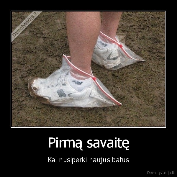 kedai, maiseliuose,juokingi, kedai