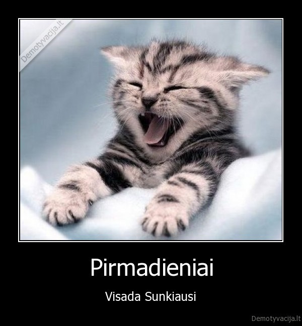 pirmadienis, kates