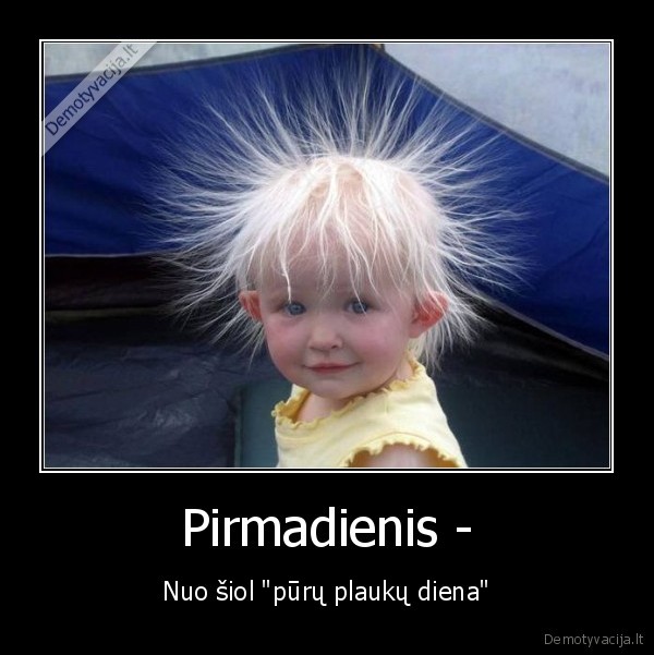 plaukai,pirmadieniais,buna,purus