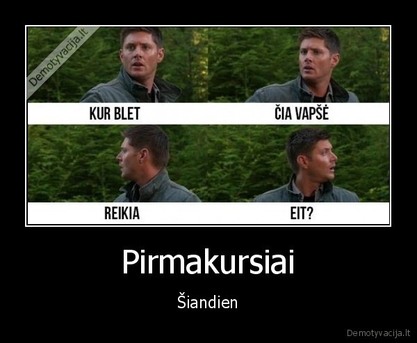 studijos,universitetas