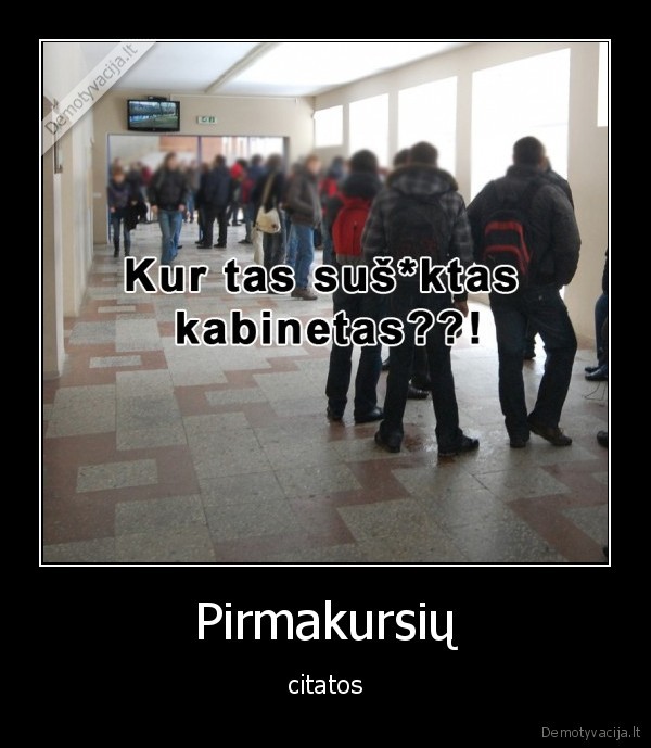 pirmakursiai,kabinetas