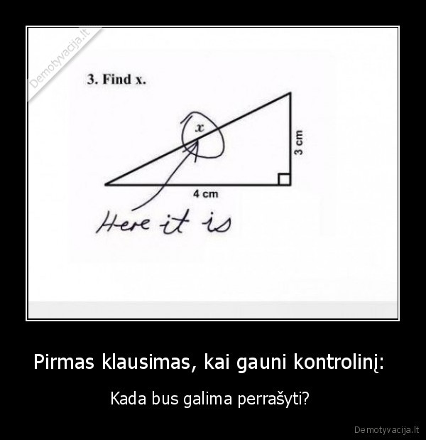 steponaviciau,palengvink, egzus