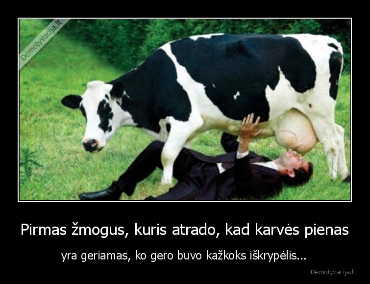 karves, pienas,karve