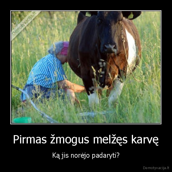 Pirmas žmogus melžęs karvę