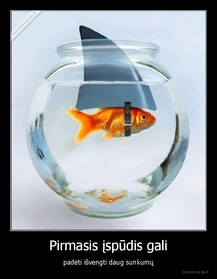 pirmasis,ispudis,zuvis,ryklys