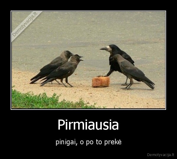 preke,pinigai