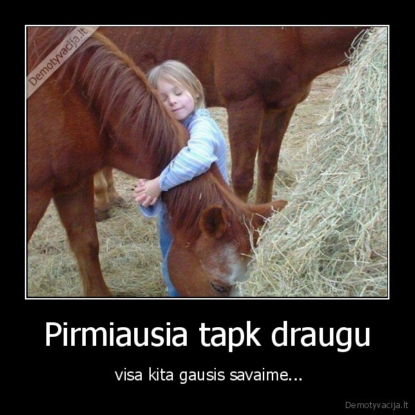 Pirmiausia tapk draugu