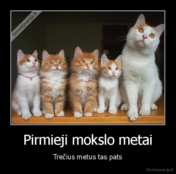 Pirmieji mokslo metai