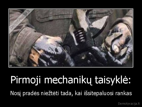 tepaluotos, rankos,niezti, nosi