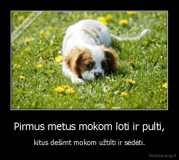 Pirmus metus mokom loti ir pulti,