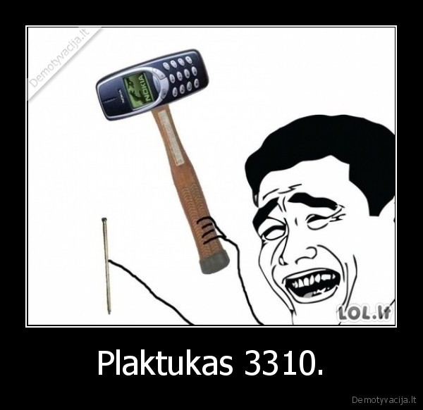 Plaktukas 3310.