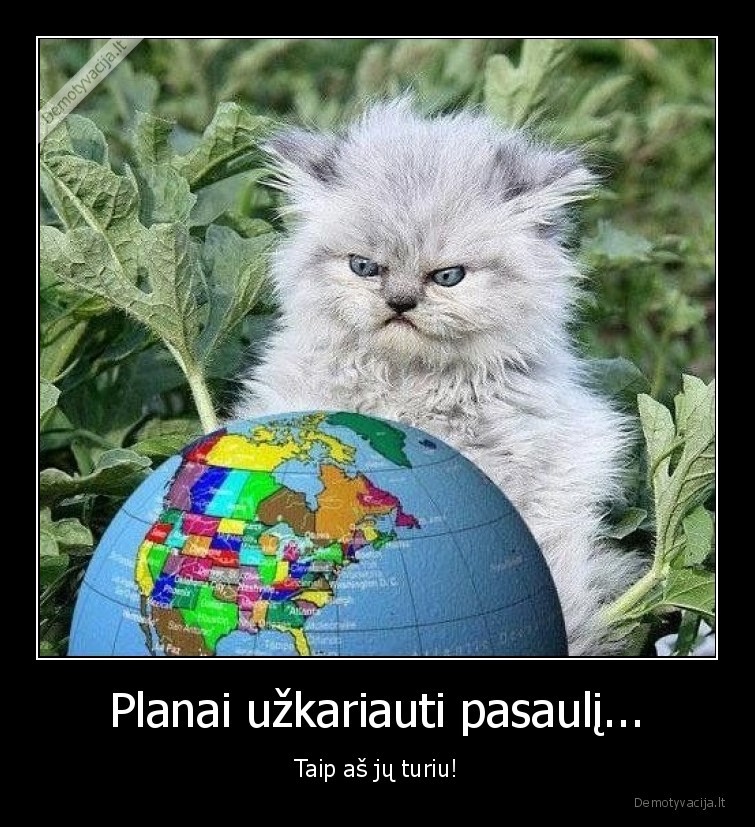 katinas,uzkariauti,pasauli