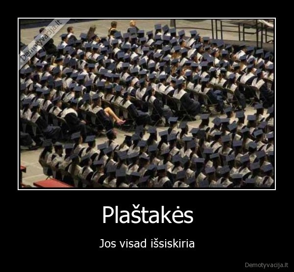 Plaštakės