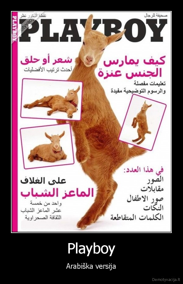 ozkos,seksas, su, ozka,playboy, zurnalas