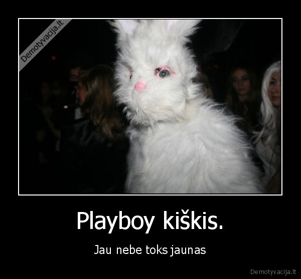 playboy,senas