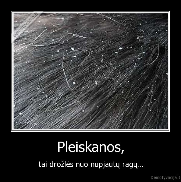 pleiskanos,ragai,nupjauti, ragai,drozles