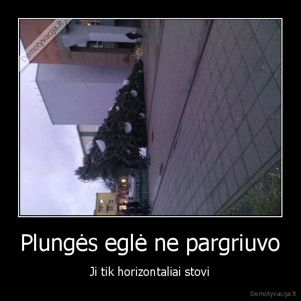 plunges, egle,kaledine, egle