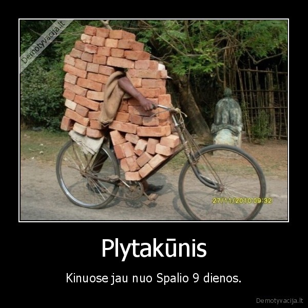 plytakunis, kinas, dviratis, plyta