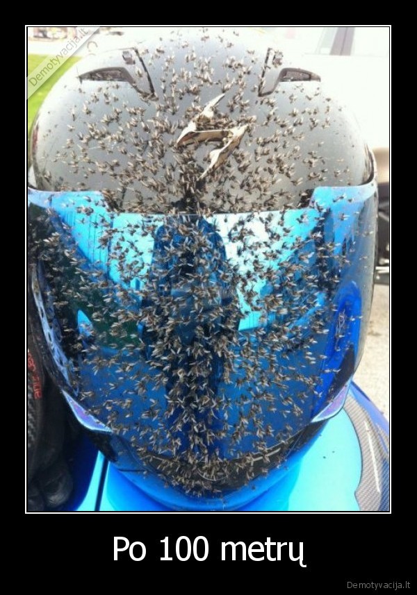 salmas,uodai,muses,limpa, sudai