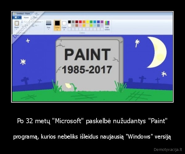 ms, paint,nieksai