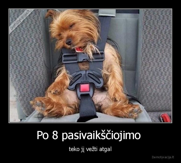 suo,pasivaikscioti,laukas,pandemija,karantinas