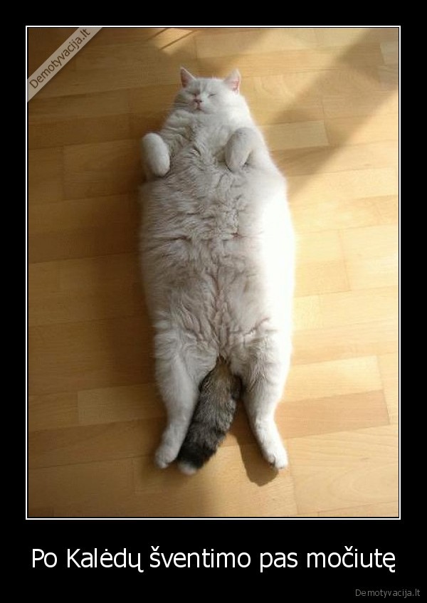 Po Kalėdų šventimo pas močiutę