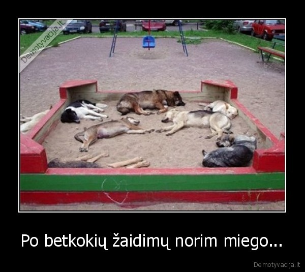 Po betkokių žaidimų norim miego...