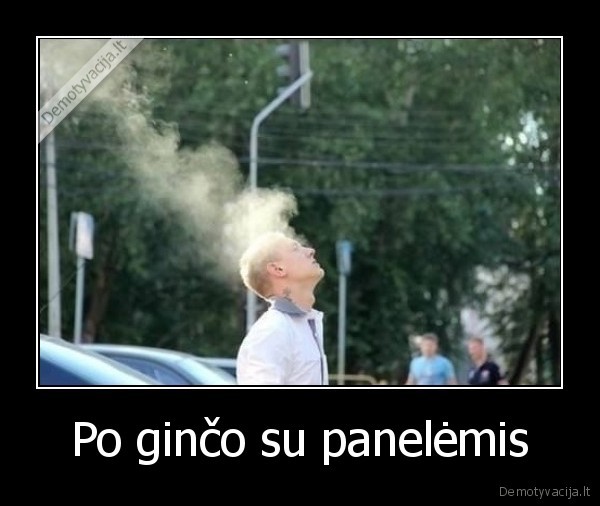 paneles,smegenys,dumai