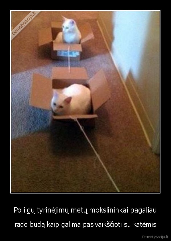 pasivaiksciojimas, su, katemis,kates, dezese