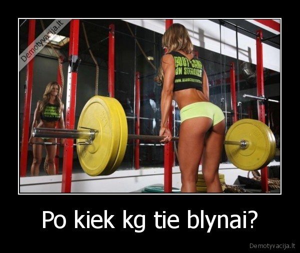 Po kiek kg tie blynai?