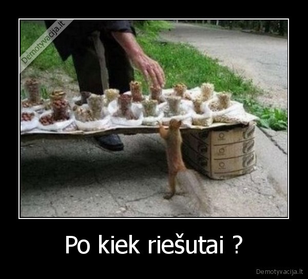 vovere,riesutai,prekystalis