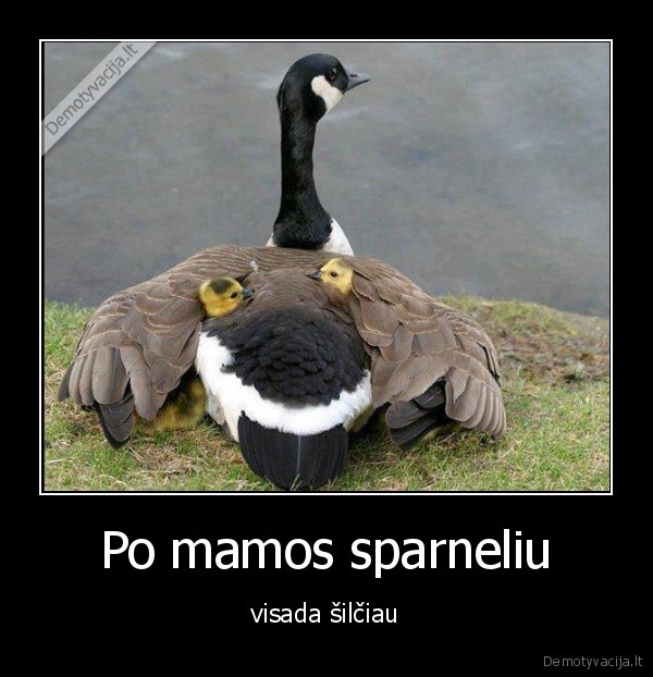 Po mamos sparneliu
