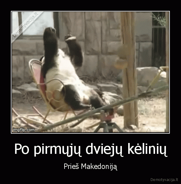 lietuva, makedonija,pikta, panda