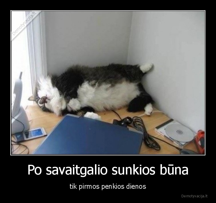 savaitgalis,penkios,dienos