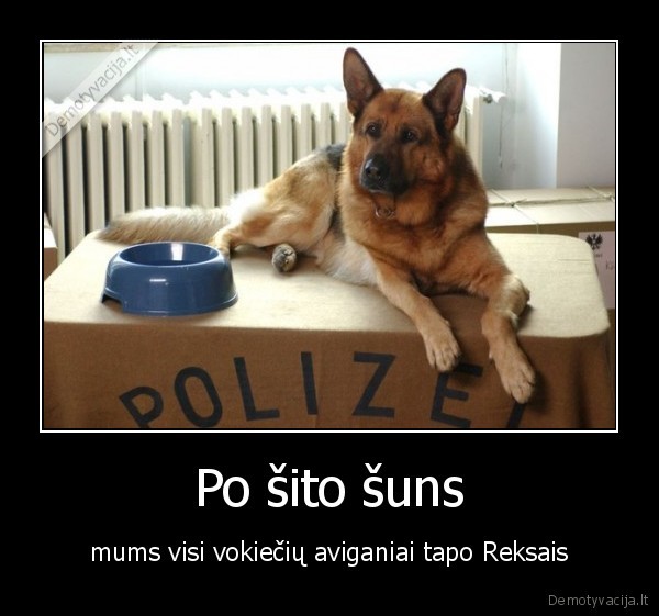 suo,vokieciu, aviganis,gyvunas