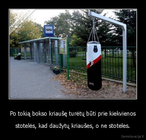 bokso, kriause,stotele,marozai