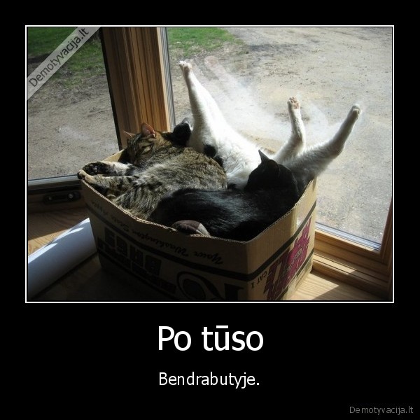 bendrabutis,tusas,miega