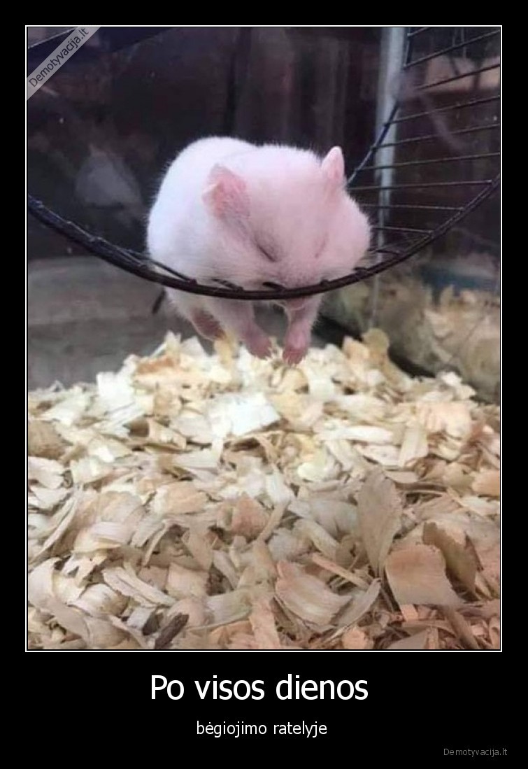 ratelis,darbas,sunku