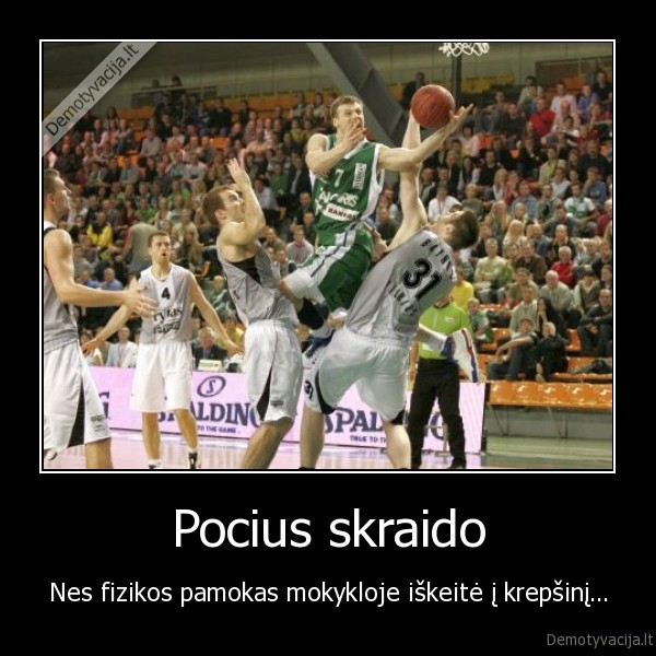 pocius,lt,lietuva,zalgiris