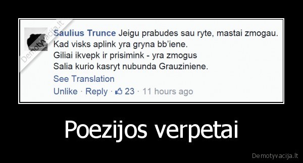poezija,juokingas, eilerastis,eilerastis, apie, grauziniene
