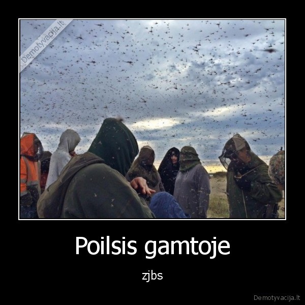 Poilsis gamtoje